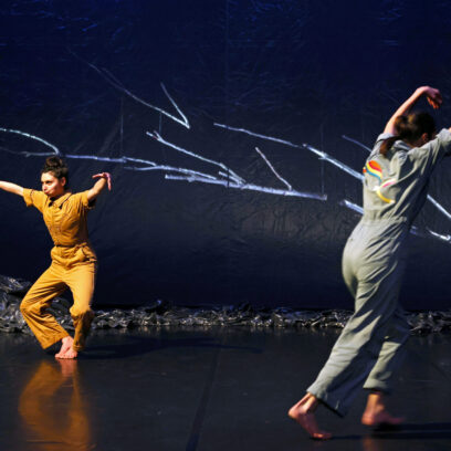 Photo du spectacle Le chemin du wombat au nez poilu - Agrandir l'image, fenêtre modale